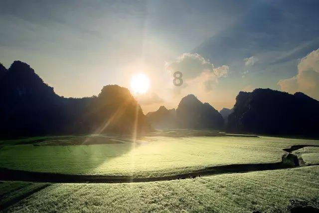药师帮：医药流通价值链重塑 数字化能力或成“胜负手”