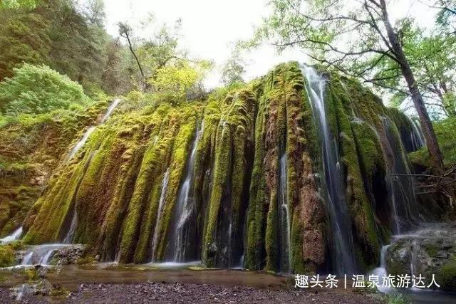 50岁了考教师证有意义吗