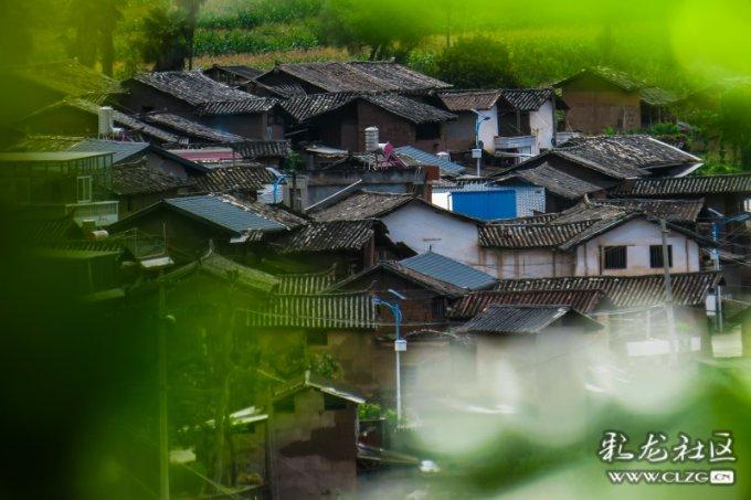 向上跳的香蕉