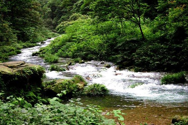逃离拇指山地